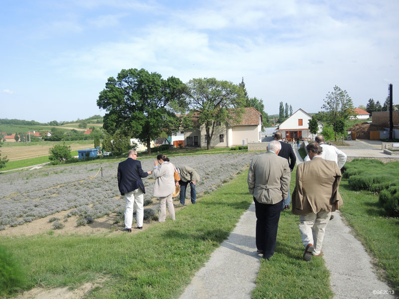 images-4.jpg